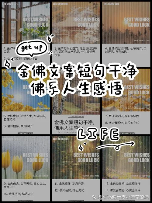 佛系人生感悟-佛系人生感悟