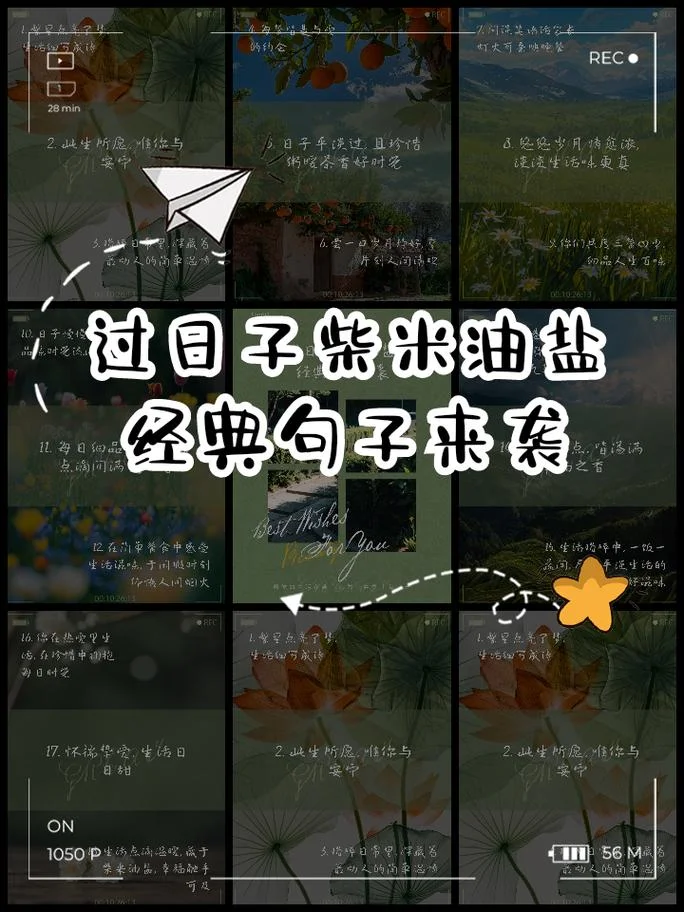 悠悠岁月下一句_1