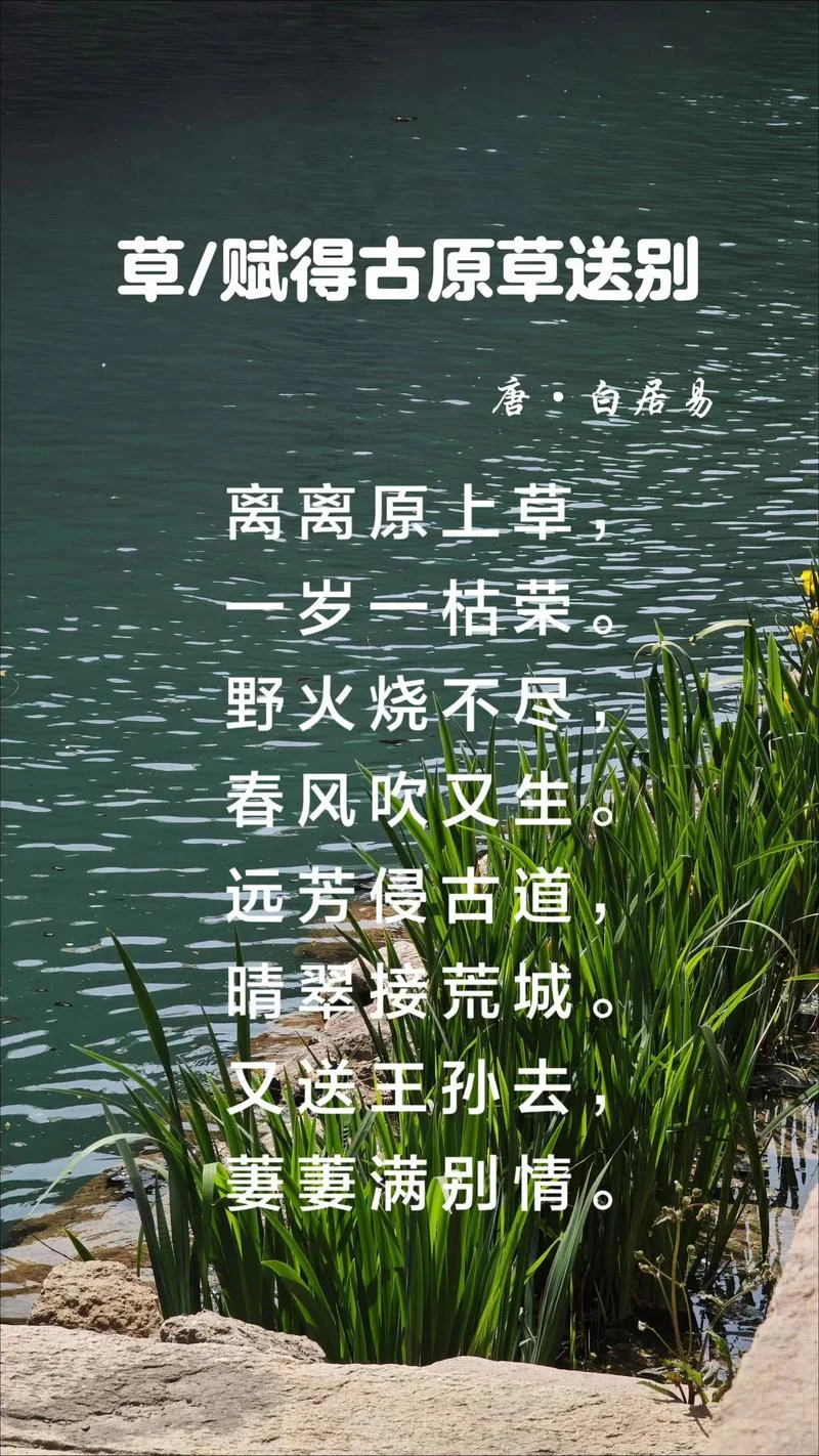 长郊草色绿无涯上一句_1