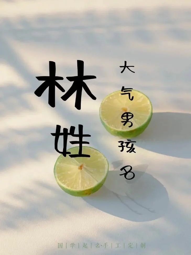 林姓宝宝起名字男-林姓男孩取名
