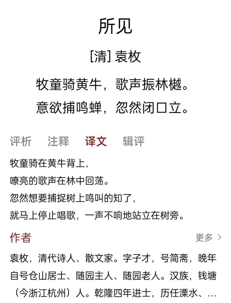 所见的作者是谁的儿子-所见的作者儿子