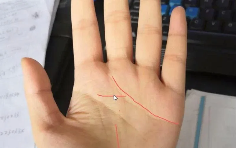 双鸟离飞手相_2