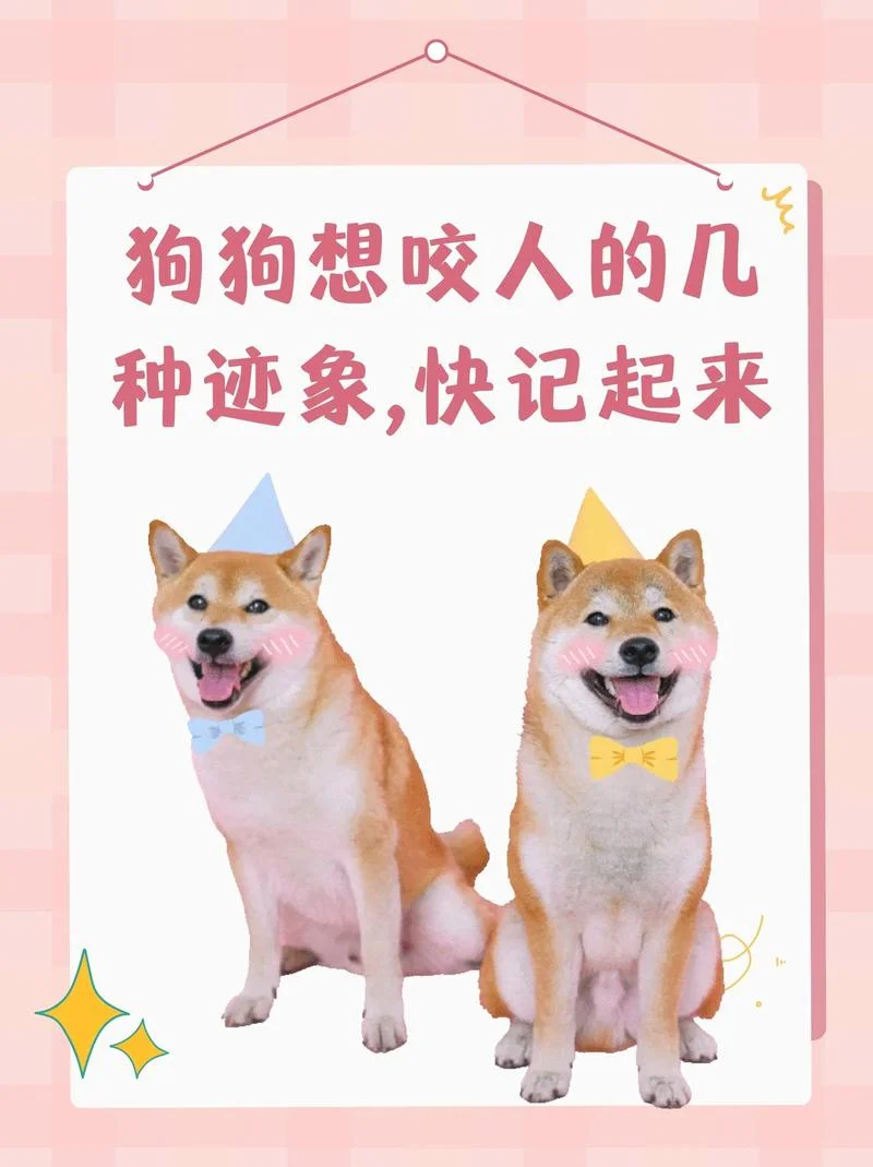 咬人的狗不叫下一句_1