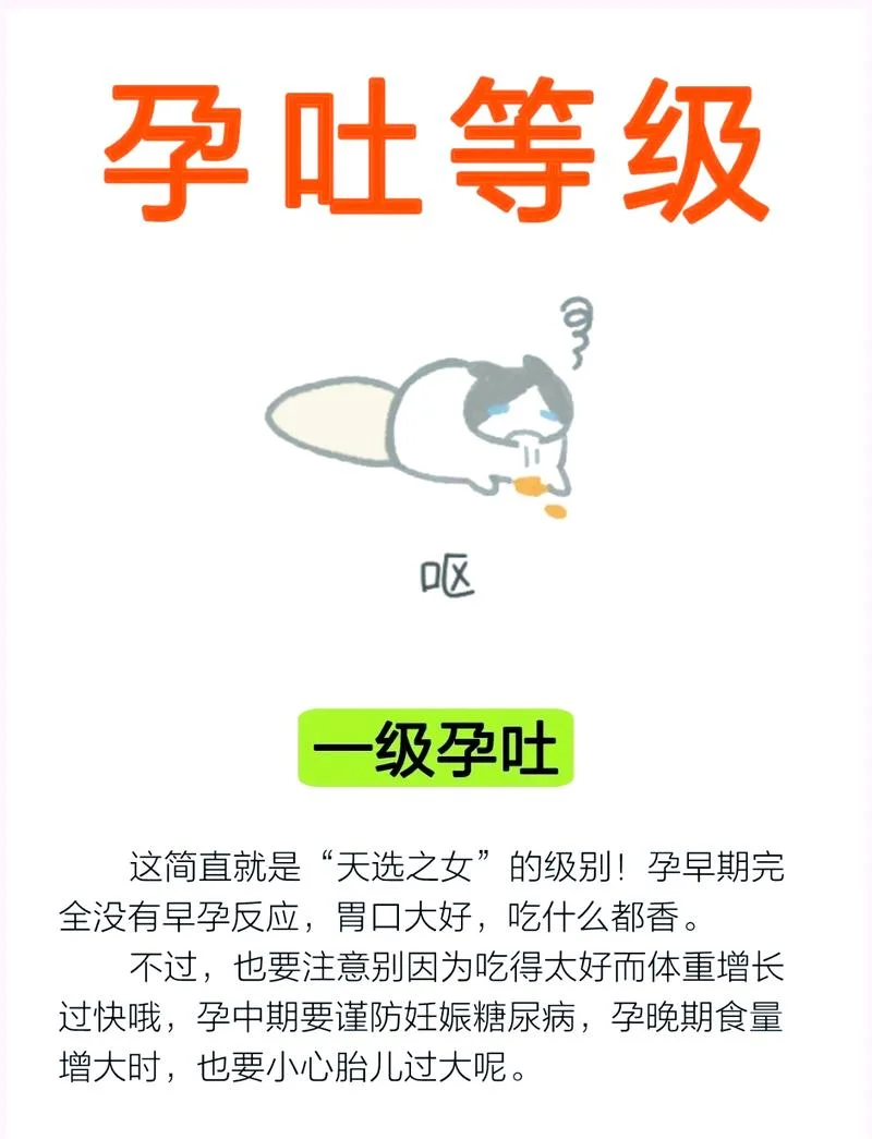 孕吐严重该怎么办-孕吐严重怎么办