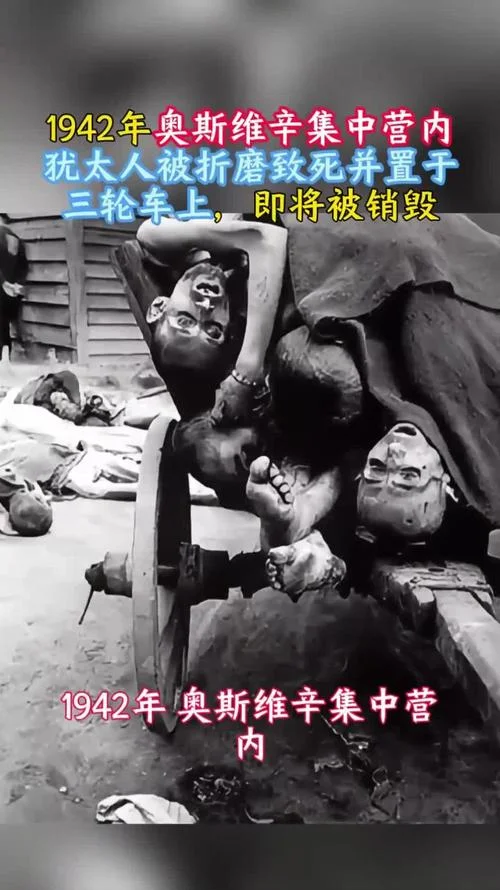 奥斯维辛:一部历史_2