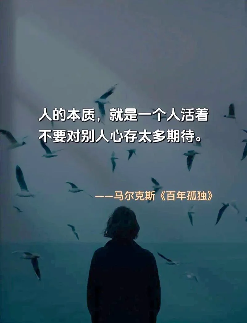 孤独百年的感悟_1
