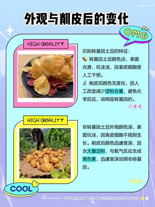 到底什么是转基因_2