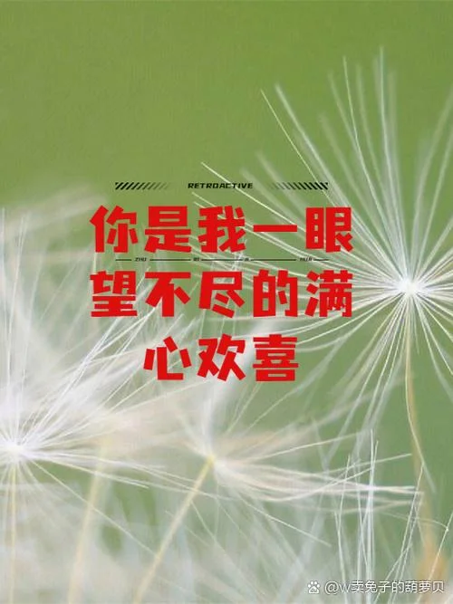 仍是衷心祝福你_1