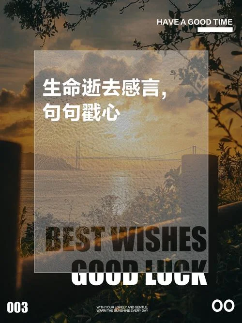 生命感悟视频-感悟生命精彩瞬间