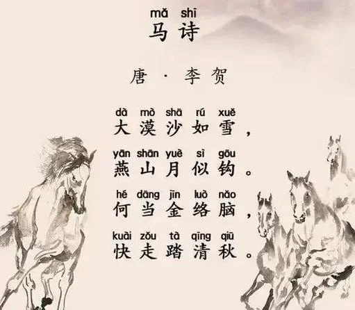 梦到白马是什么预兆_2