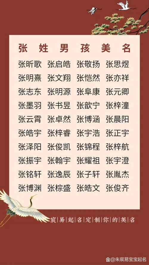 张姓女孩起名免费起名_1