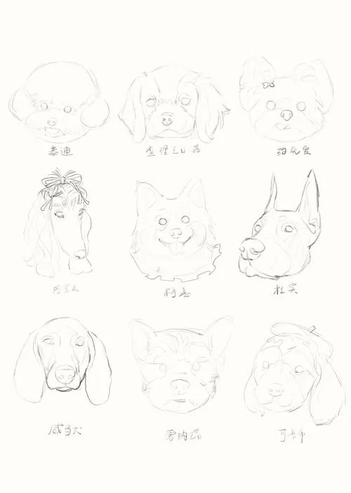 可爱的小宠物怎么画_2
