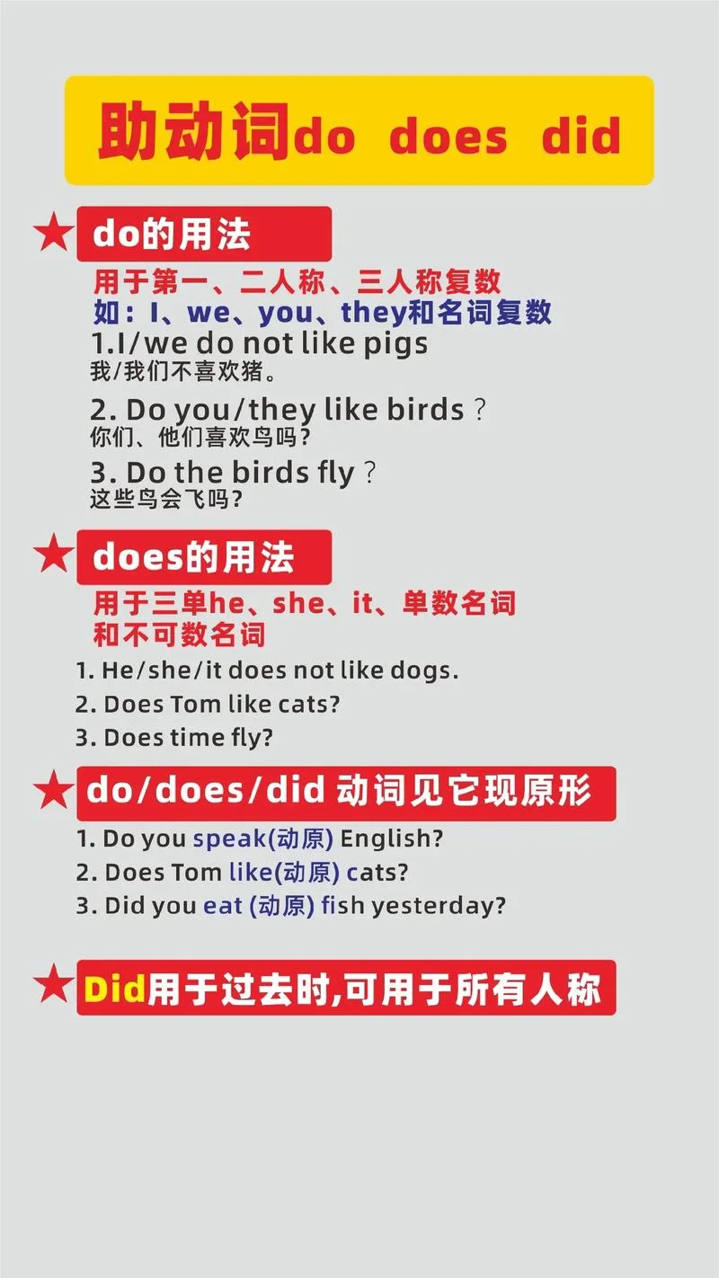 谓语助者下一句是什么_2