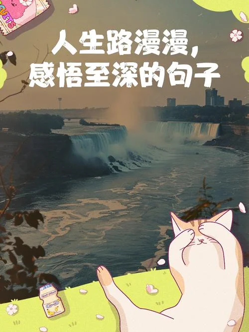 感悟人生路_1