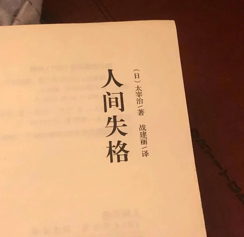 人间失格感悟_2