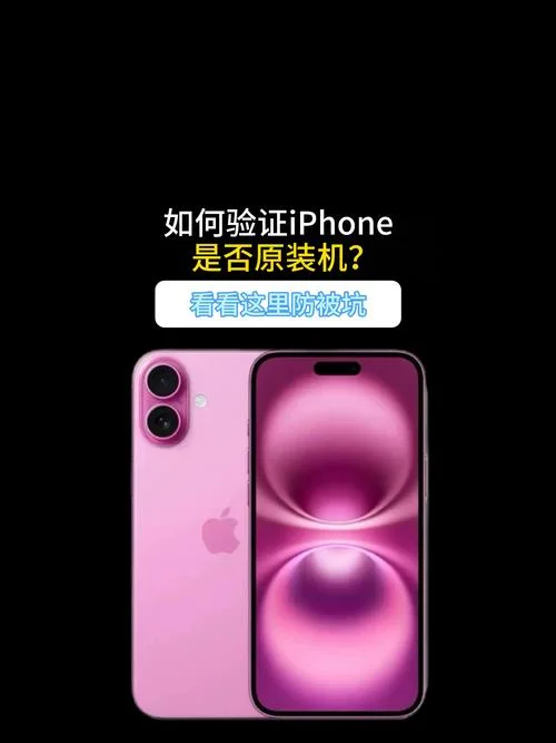 iphone12如何查序列号_1