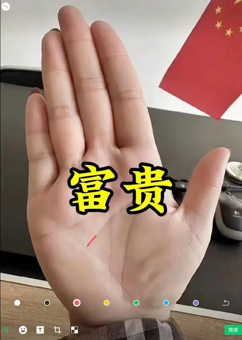 超级有钱的女人手相-超级有钱女人手相