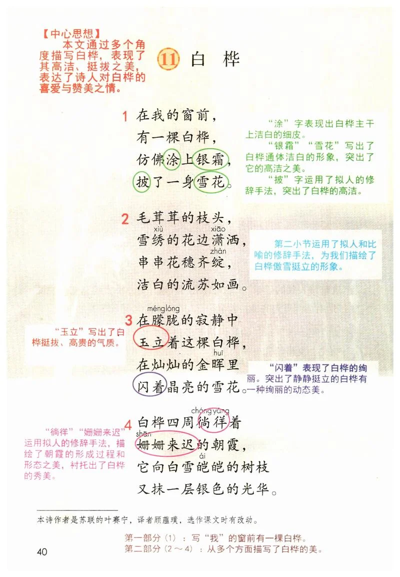 白桦的作者是谁视频-白桦作者视频