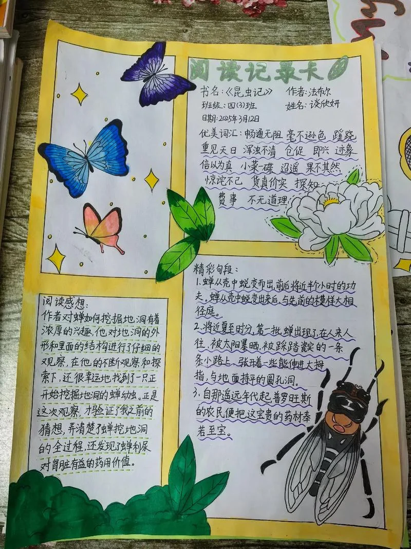 关于成长的手抄报感悟-成长手抄报感悟