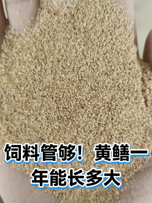 黄鳝几月份出来_1