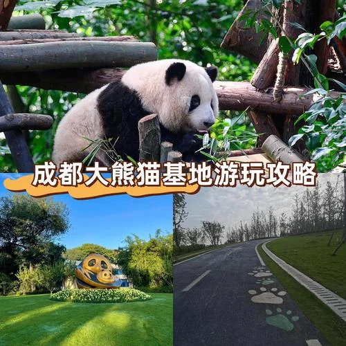 从成都到大熊猫基地有多少公里_1