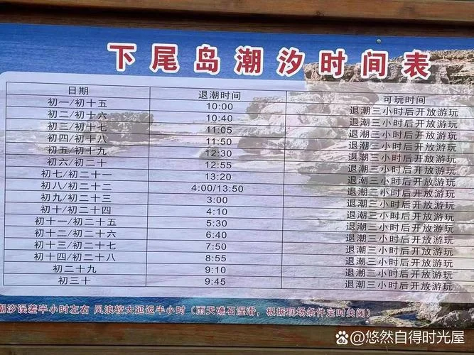 霞浦包车一日游多少钱_1