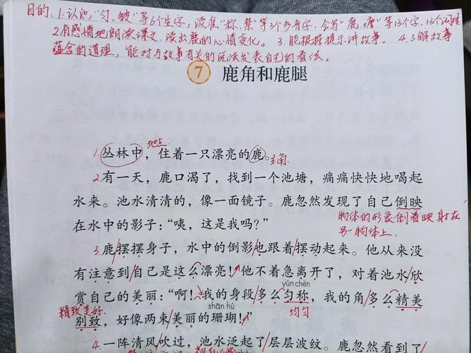 道理的丽组词怎么组_1