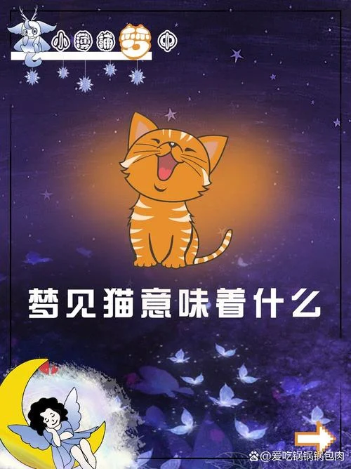 梦到一群猫咬我_1