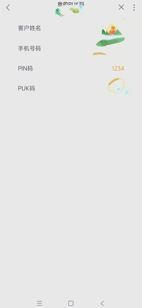 什么是puk码怎么查询_1