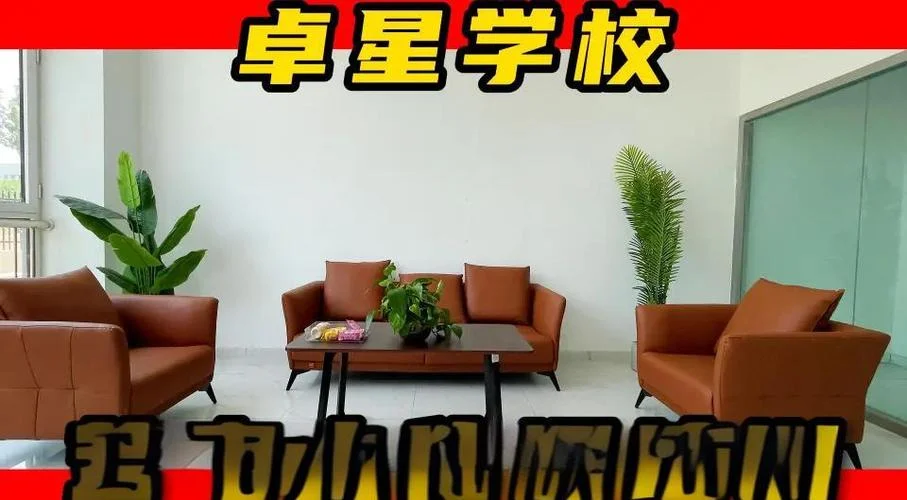 山东泰安艺考培训机构_2
