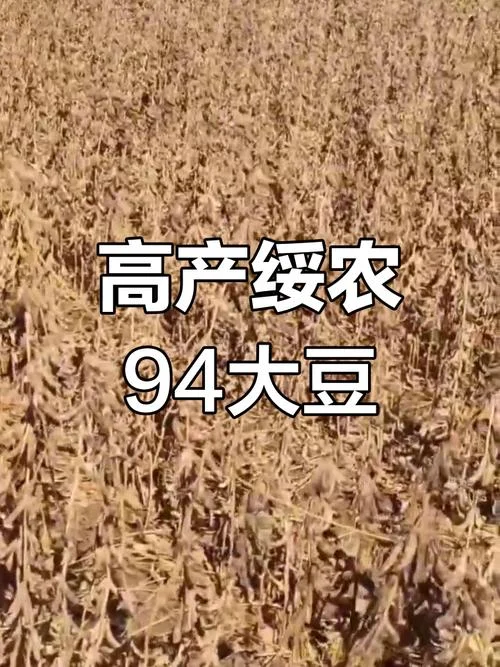 一亩大豆产量多少_1