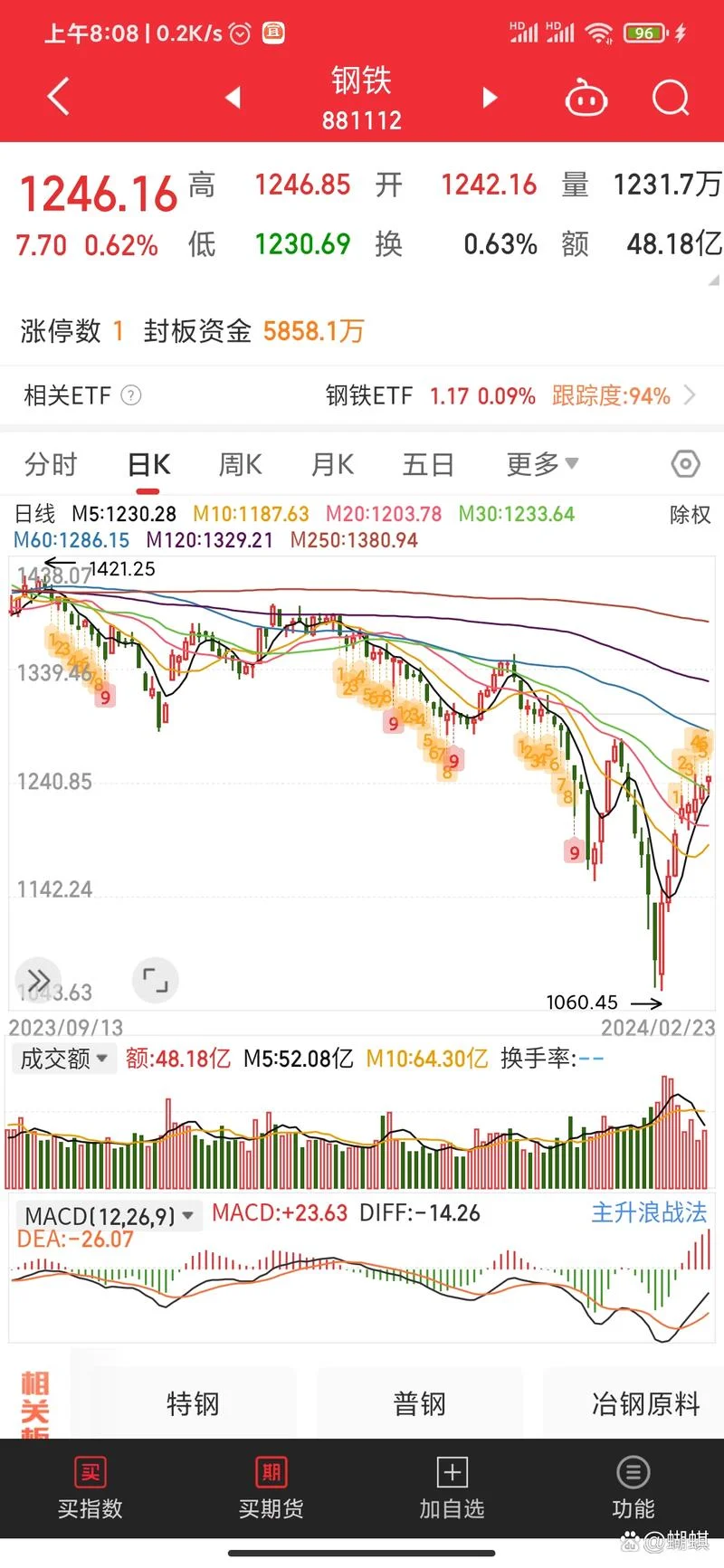 大盘大盘蓝筹股什么意思_2