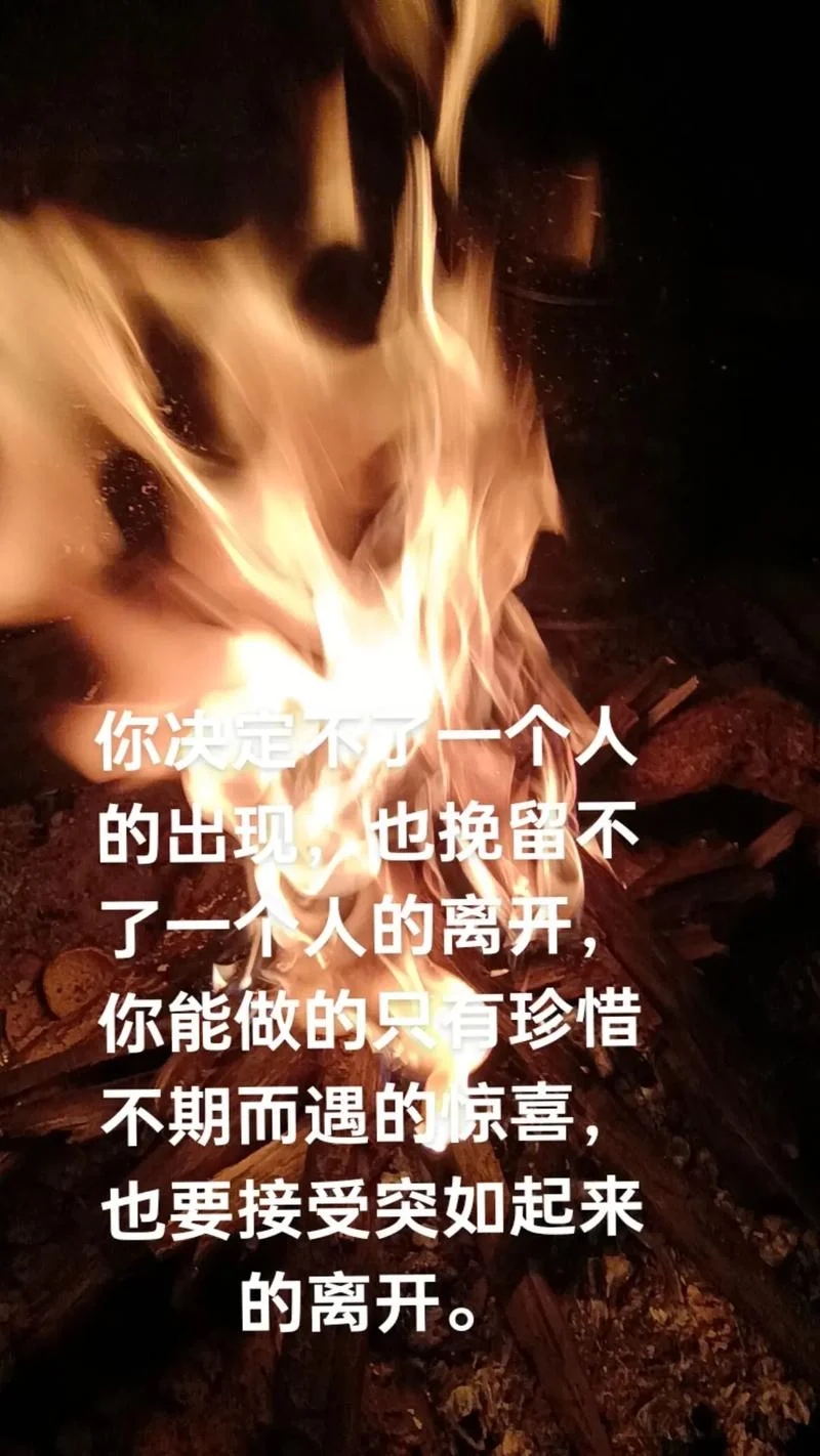 我也被人挽留过下一句_2