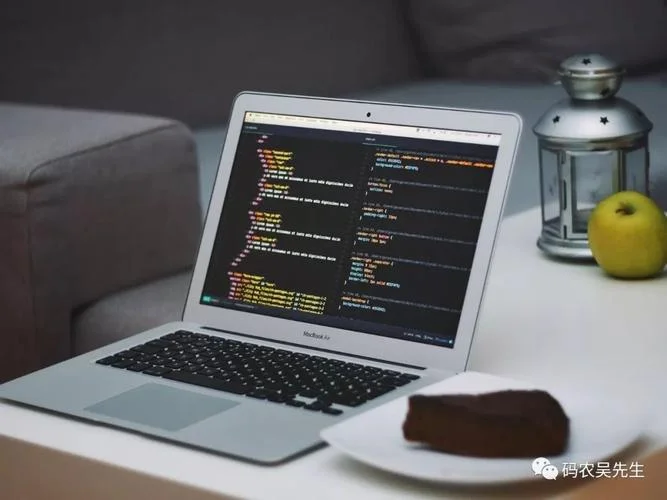 码农网是做什么的_1