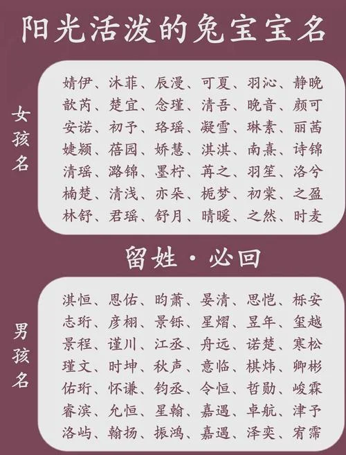 兔宝宝起名大全男孩_2