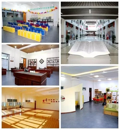 哈尔滨市剑桥第三中学校怎么样_2
