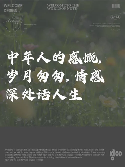 男人到中年的感悟_2