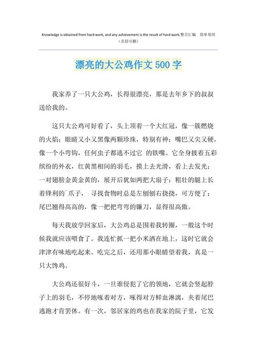 公鸡的外貌怎么写_2