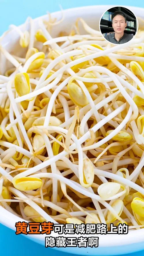 什么样的黄豆芽是发物_2