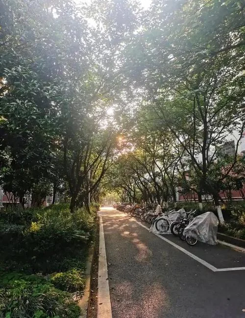 重庆最差的民办二本-重庆最差民办二本