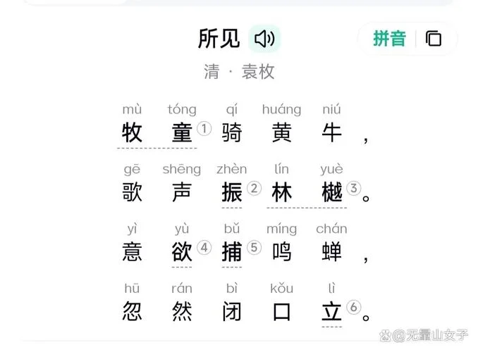 所见的作者是谁简介-所见作者是谁简介