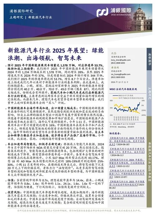 新能源车排到哪年了_1