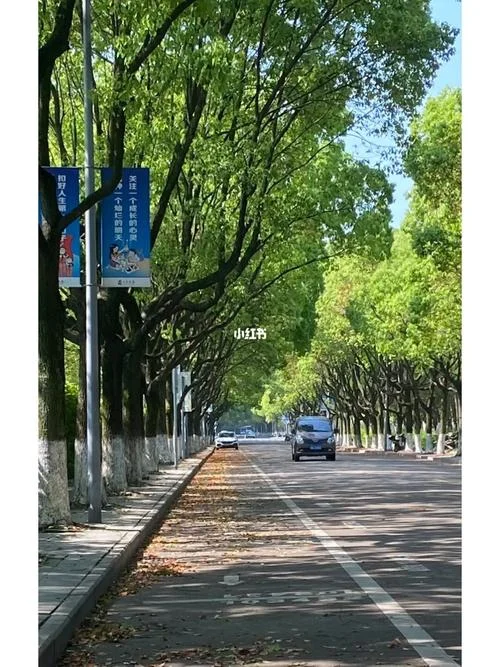 昨天的昨天叫什么-昨日昨日何名