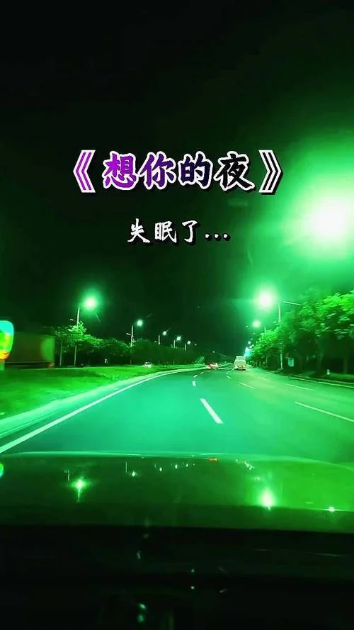 想你的夜歌词是谁写的_2