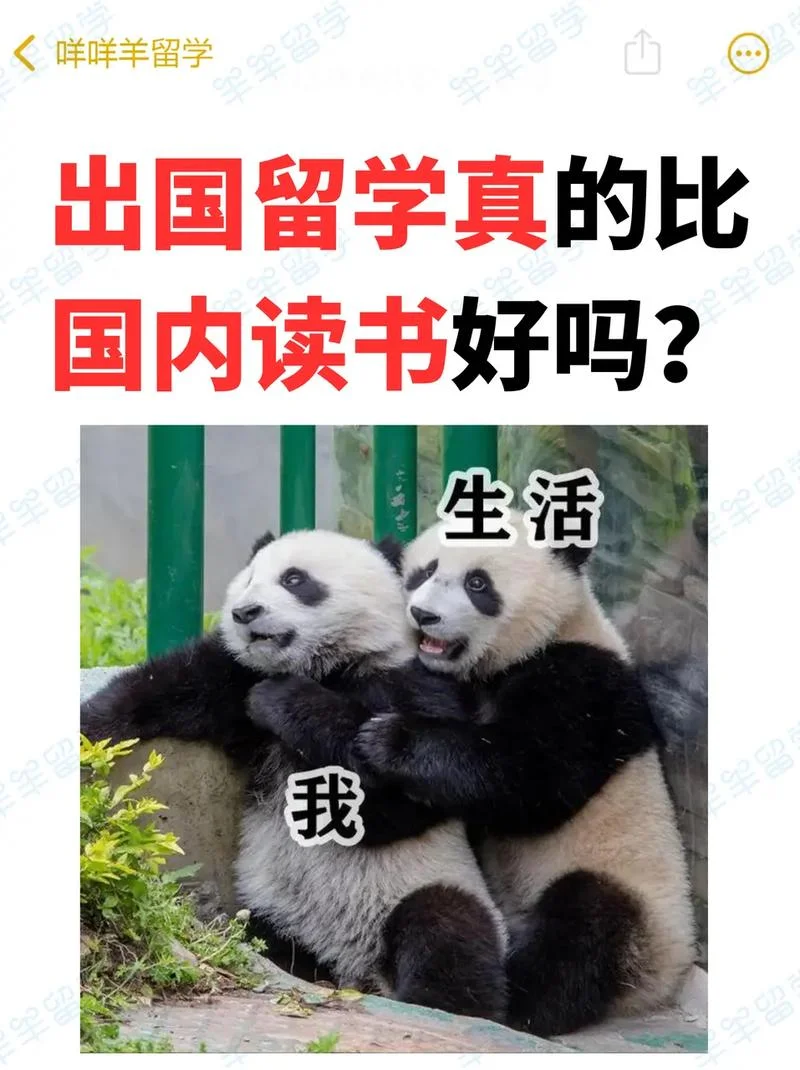 在国内出国留学-国内出国留学
