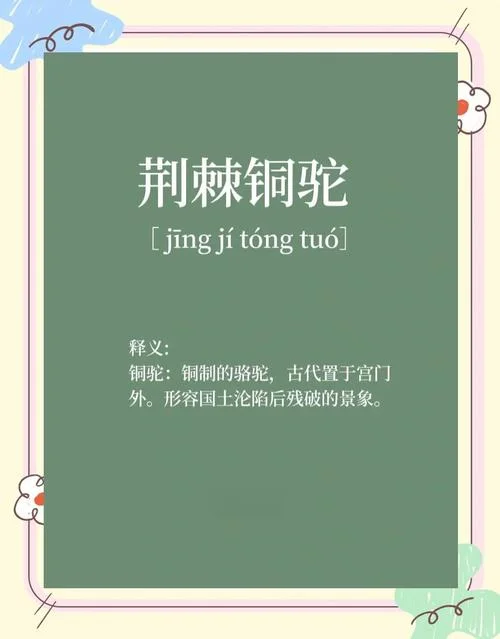 泼刺是一个什么词_2