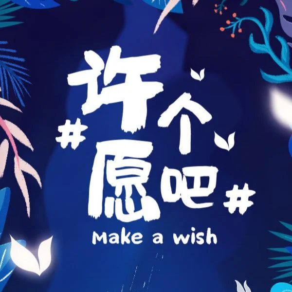许个愿吧下一句是什么-许个愿吧下一句？