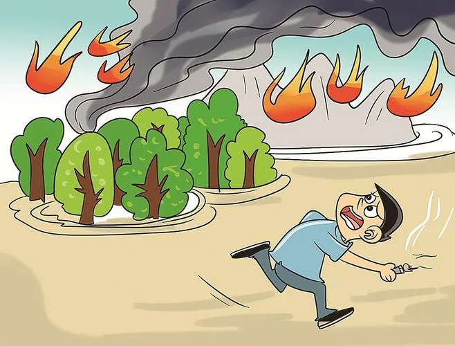 梦见山林爆炸起火_1