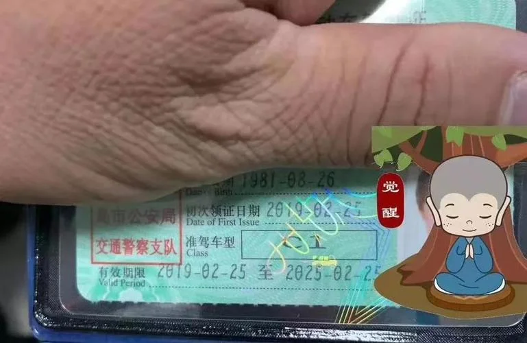 驾驶证几年前历史违法-查询历史交通违法