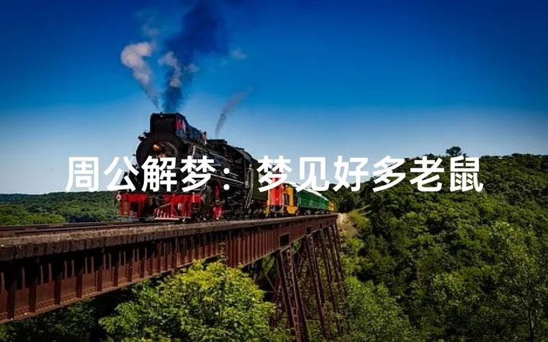 梦见好多老鼠什么意思_2